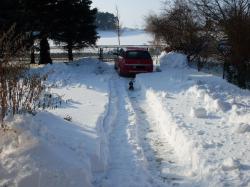 Winter 2010