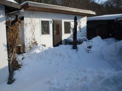 Winter 2010