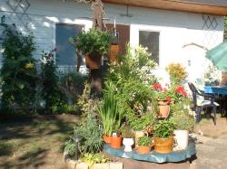 Bungalow